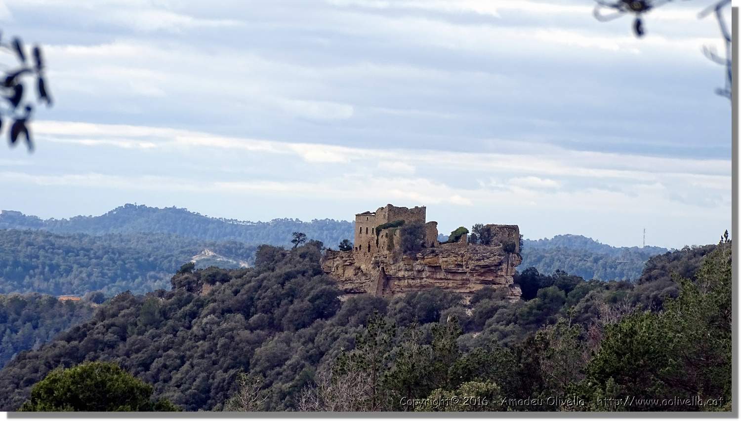 SauvaNegra__060.jpg