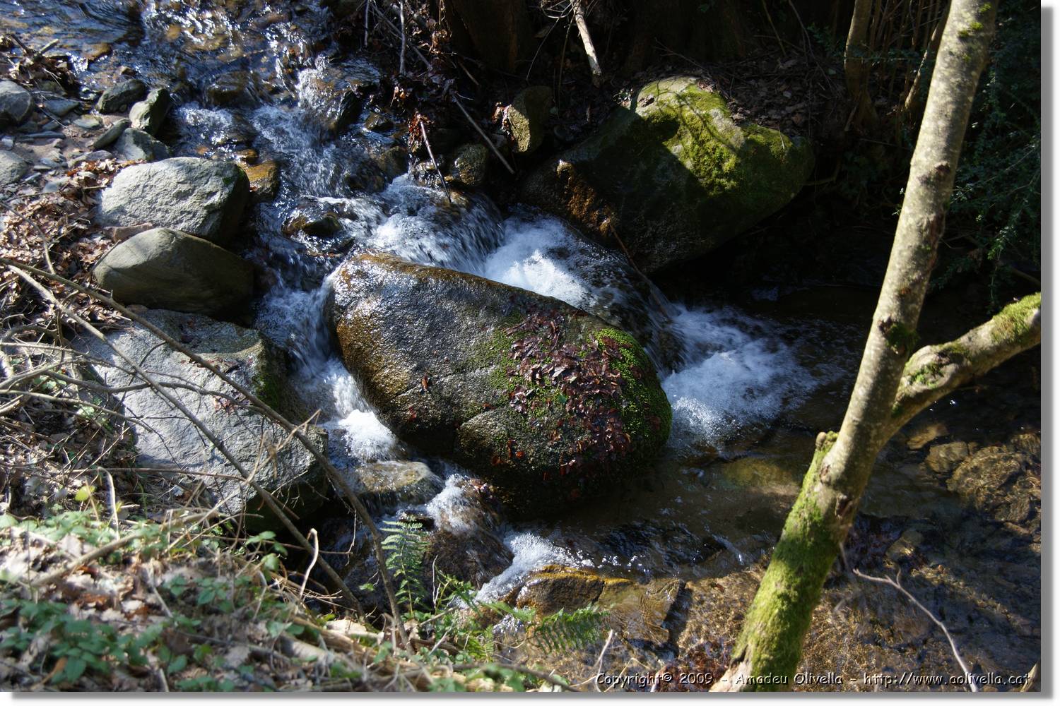 Serrallonga1_016.jpg