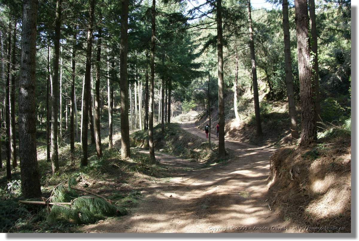 Serrallonga2_075.jpg