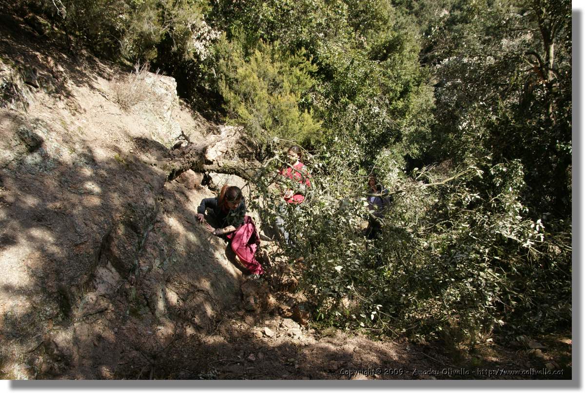 Serrallonga2_098.jpg
