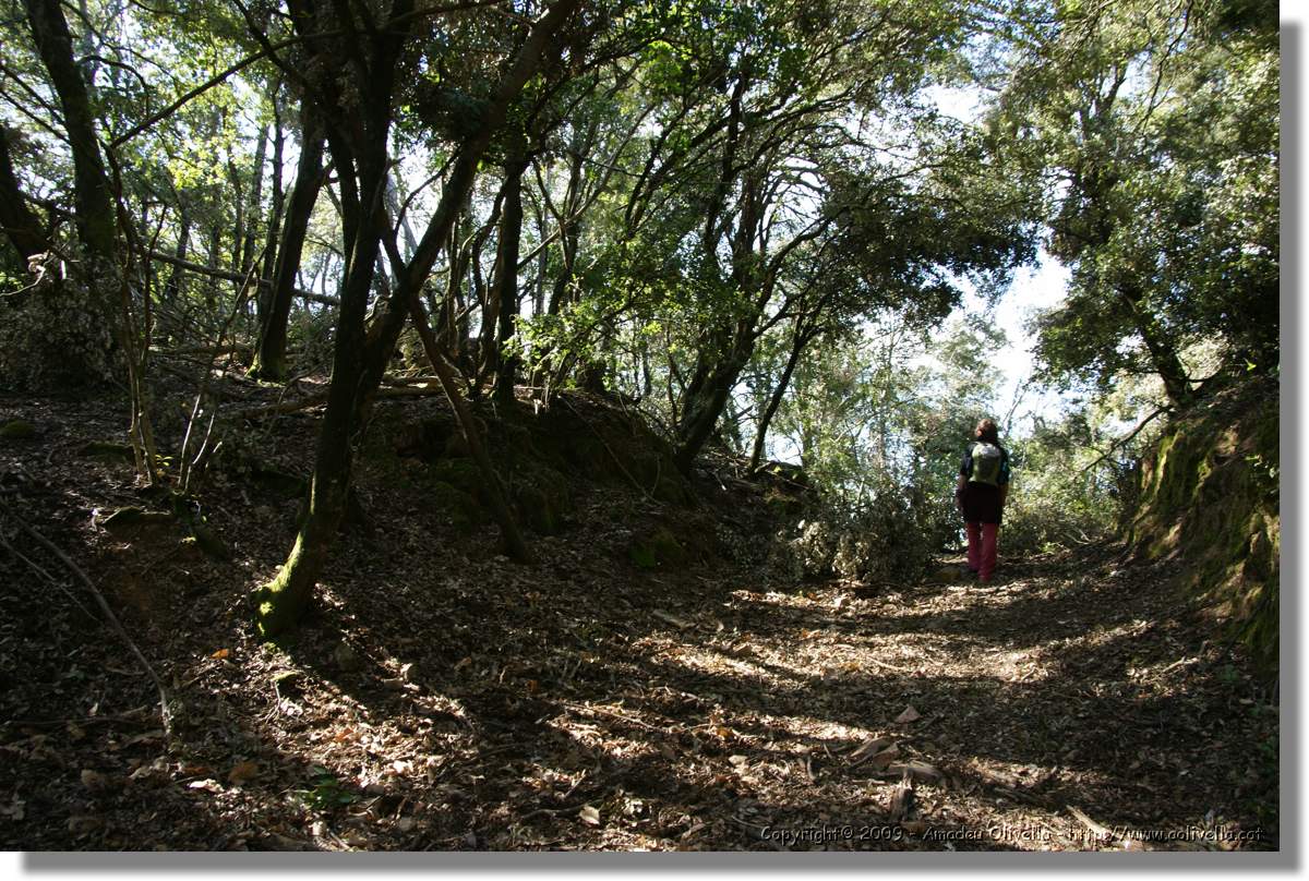 Serrallonga2_102.jpg