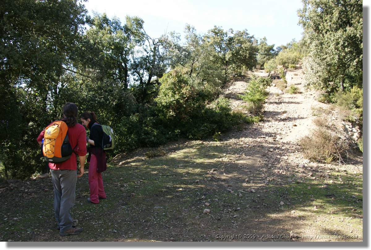 Serrallonga2_112.jpg