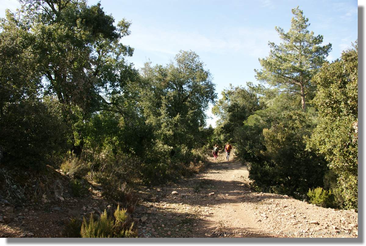 Serrallonga2_113.jpg