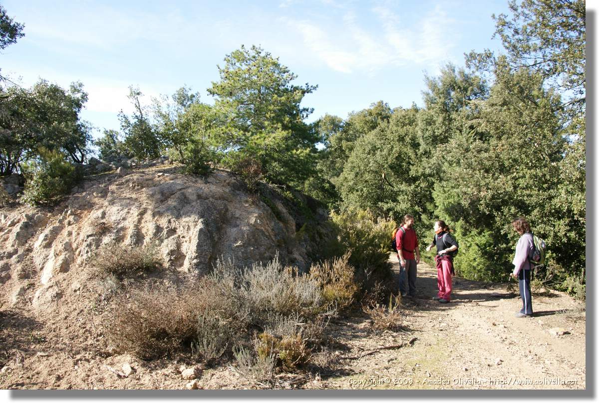 Serrallonga2_115.jpg