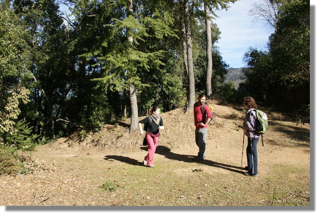 Serrallonga2_117.jpg