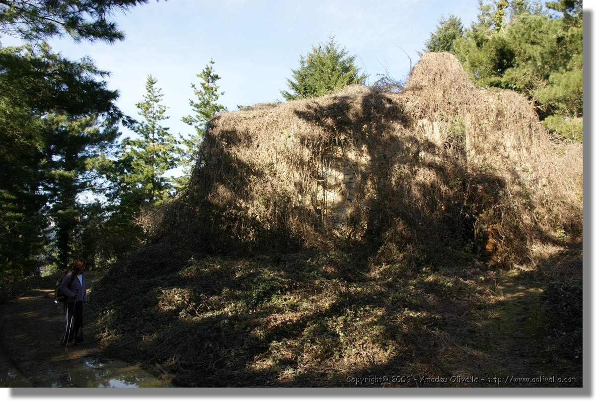 Serrallonga2_123.jpg