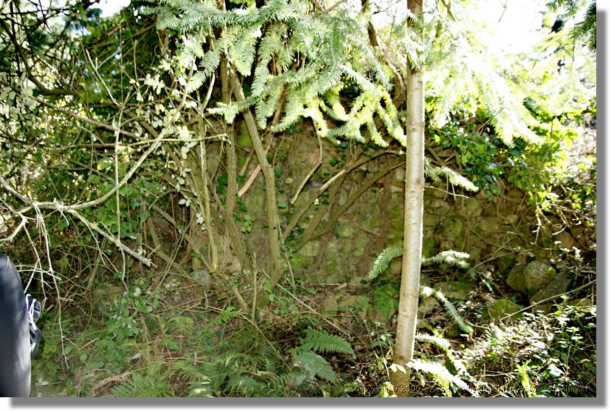 Serrallonga2_129.jpg