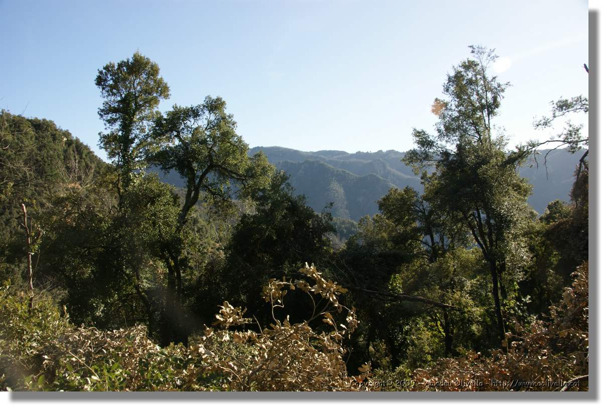 Serrallonga2_138.jpg