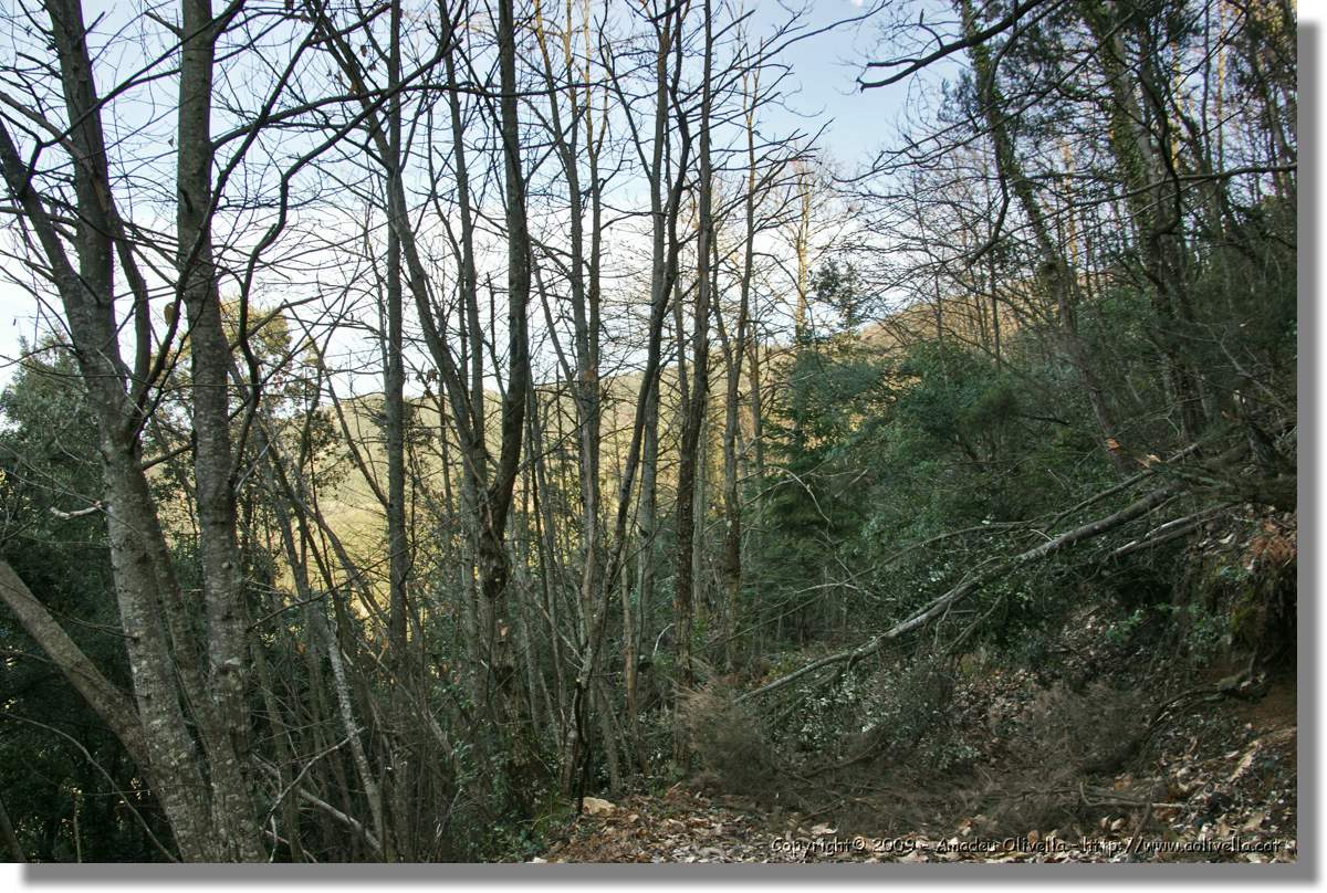Serrallonga2_144.jpg