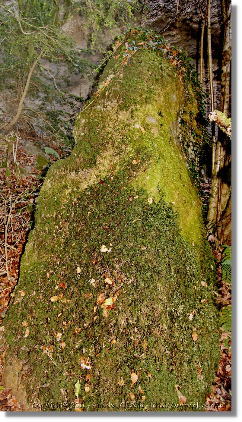 Bufadors_089.jpg