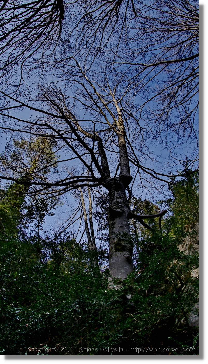 Bufadors_145.jpg