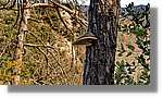 Bufadors_059.jpg