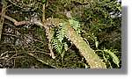 Bufadors_085.jpg