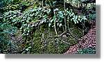 Bufadors_087.jpg