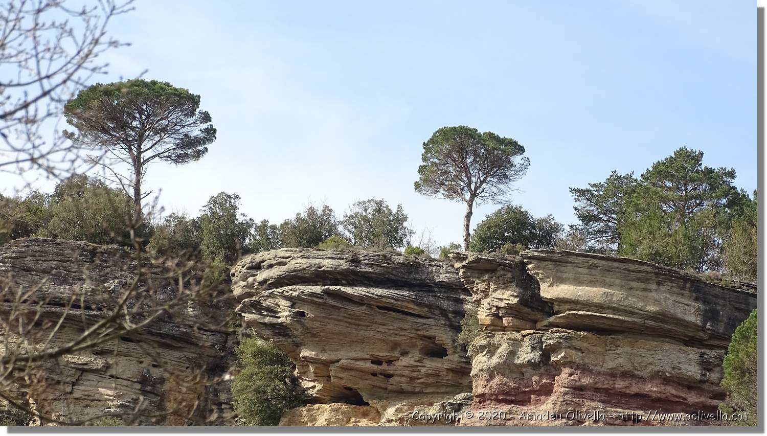 L'Agulla_017.jpg
