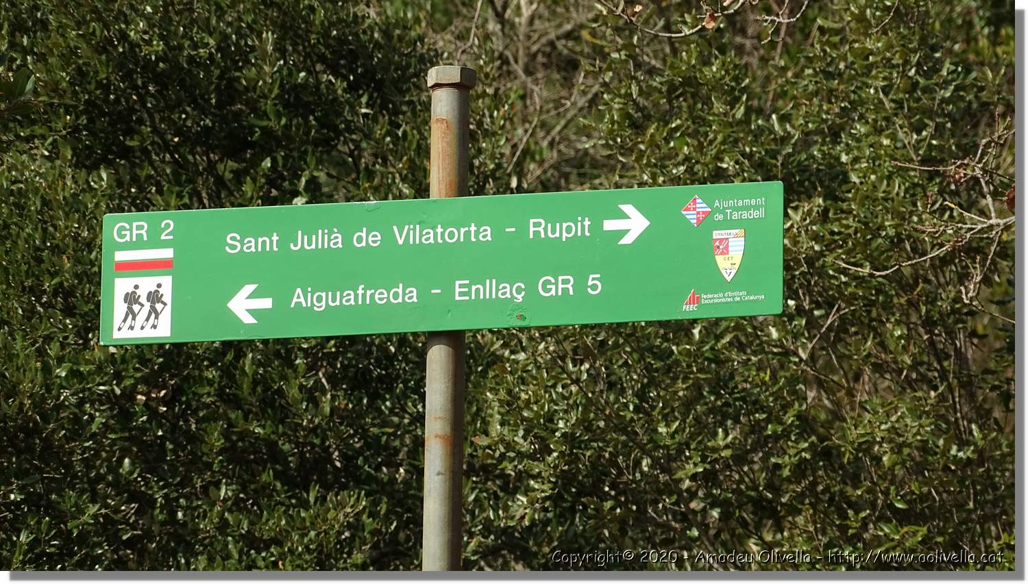 L'Agulla_021.jpg