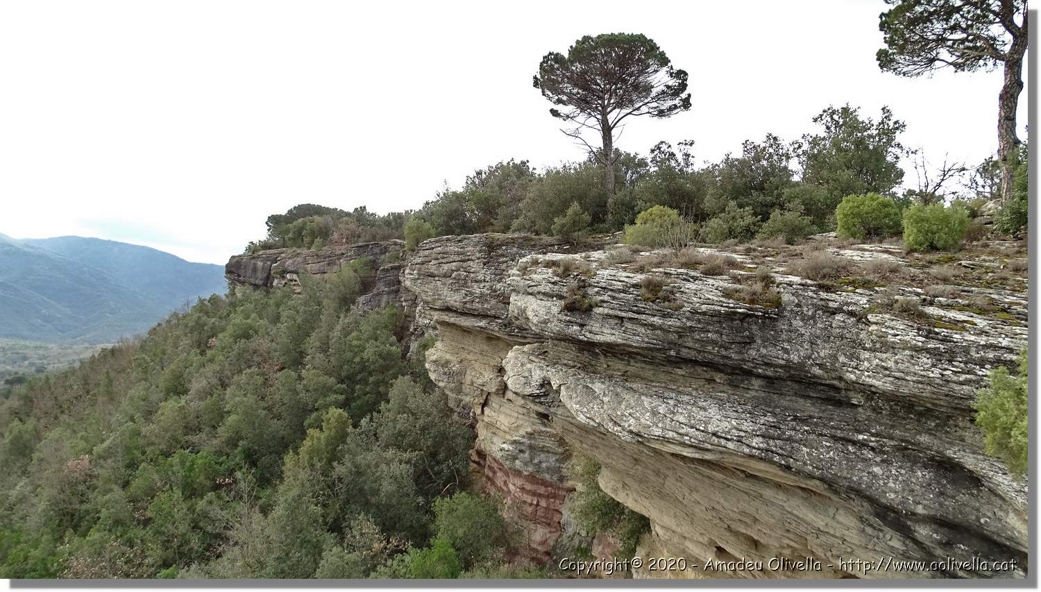 L'Agulla_035.jpg