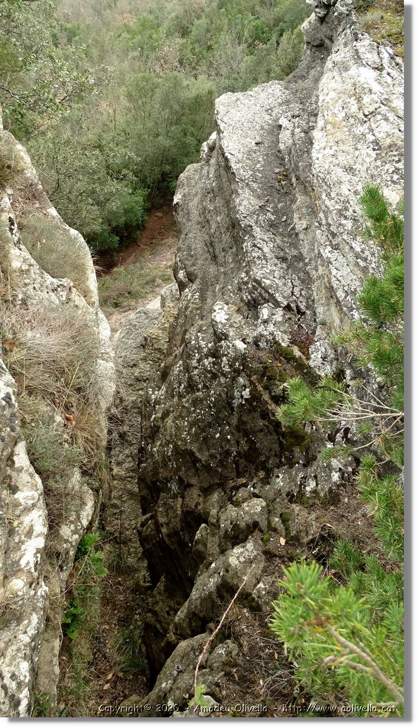 L'Agulla_037a.jpg
