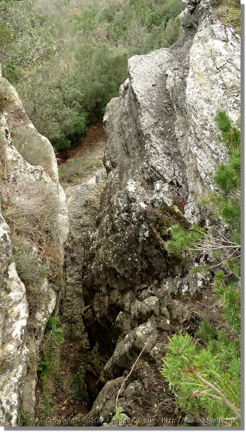 L'Agulla_039.jpg