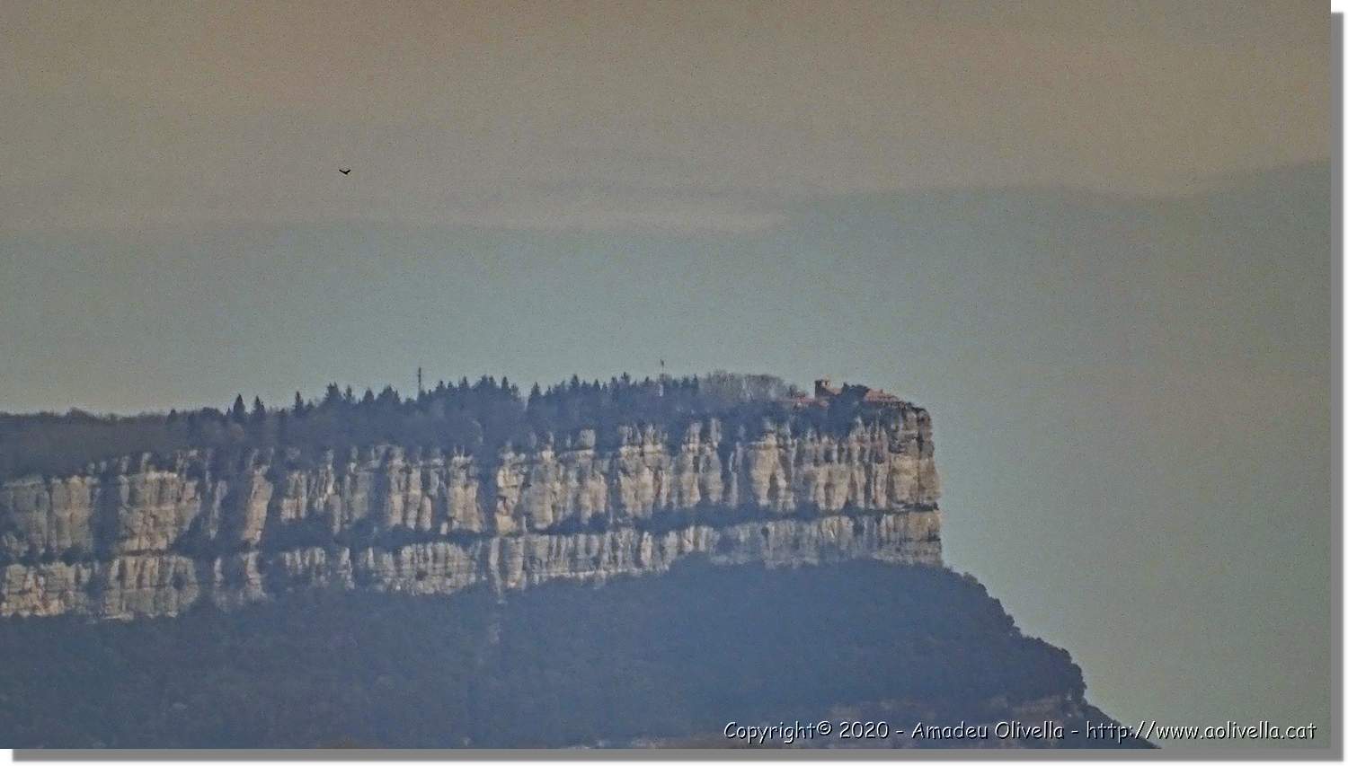 L'Agulla_056.jpg