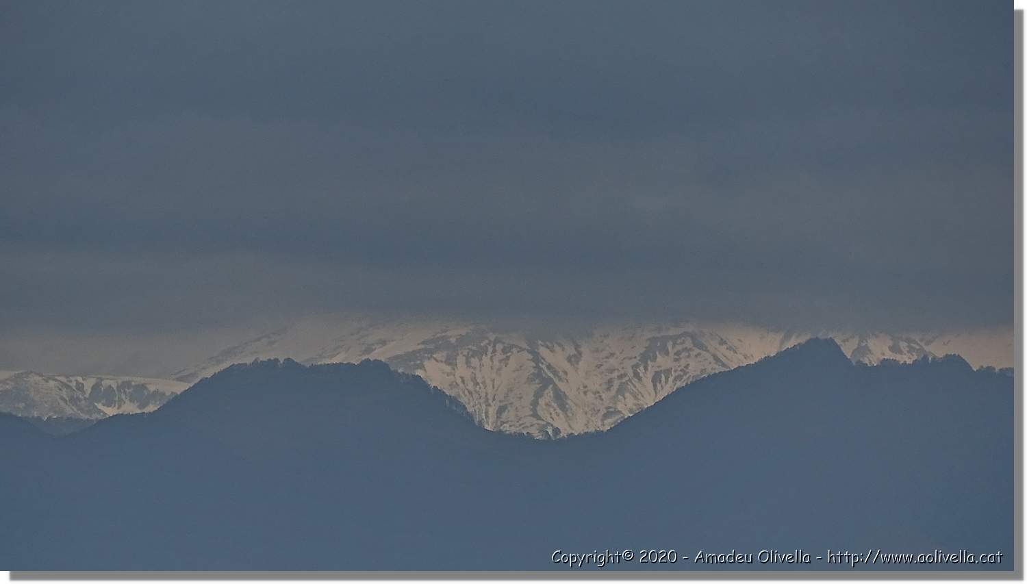 L'Agulla_058.jpg