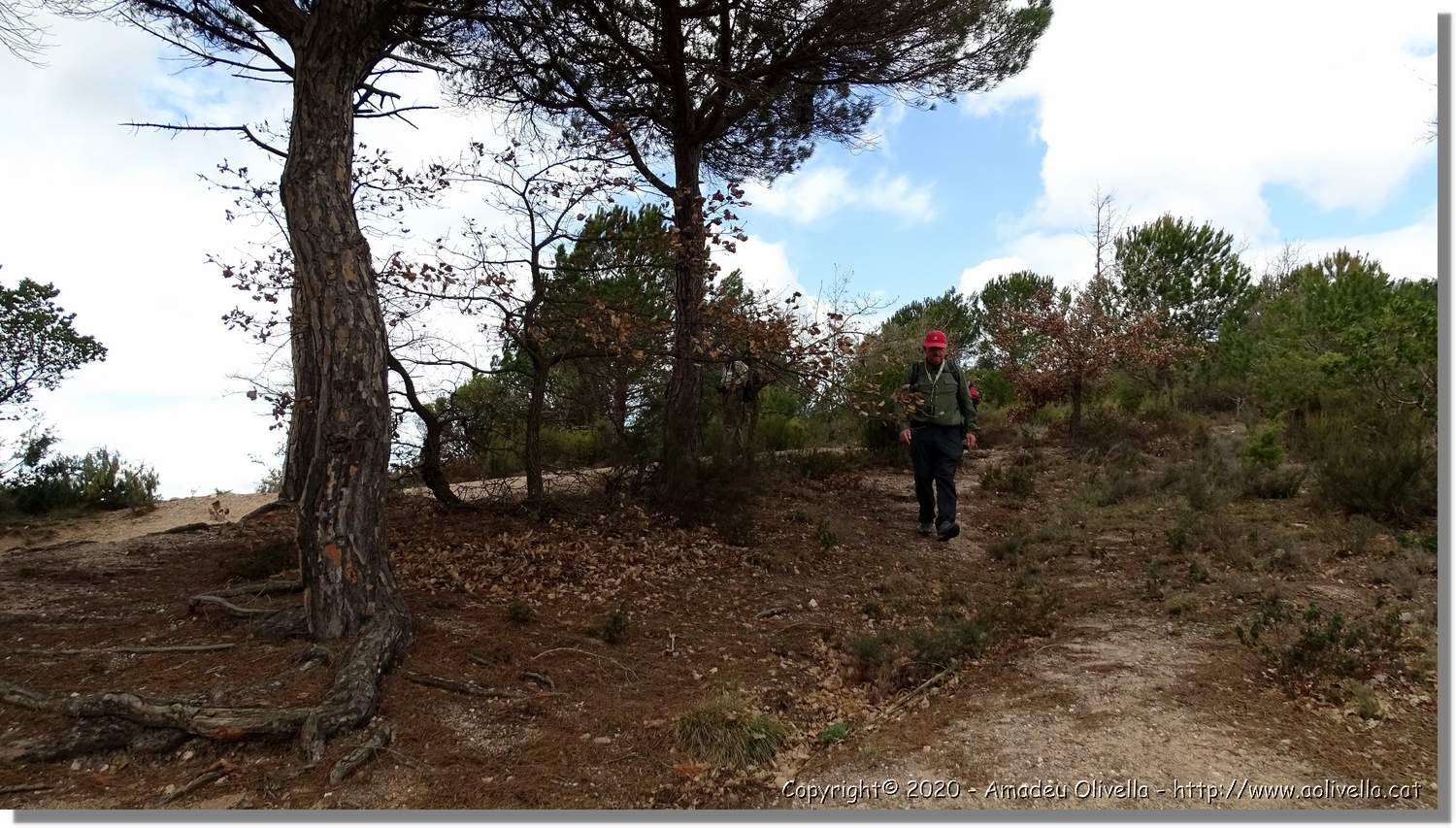 L'Agulla_075.jpg
