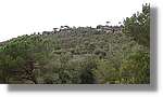 L'Agulla_078.jpg