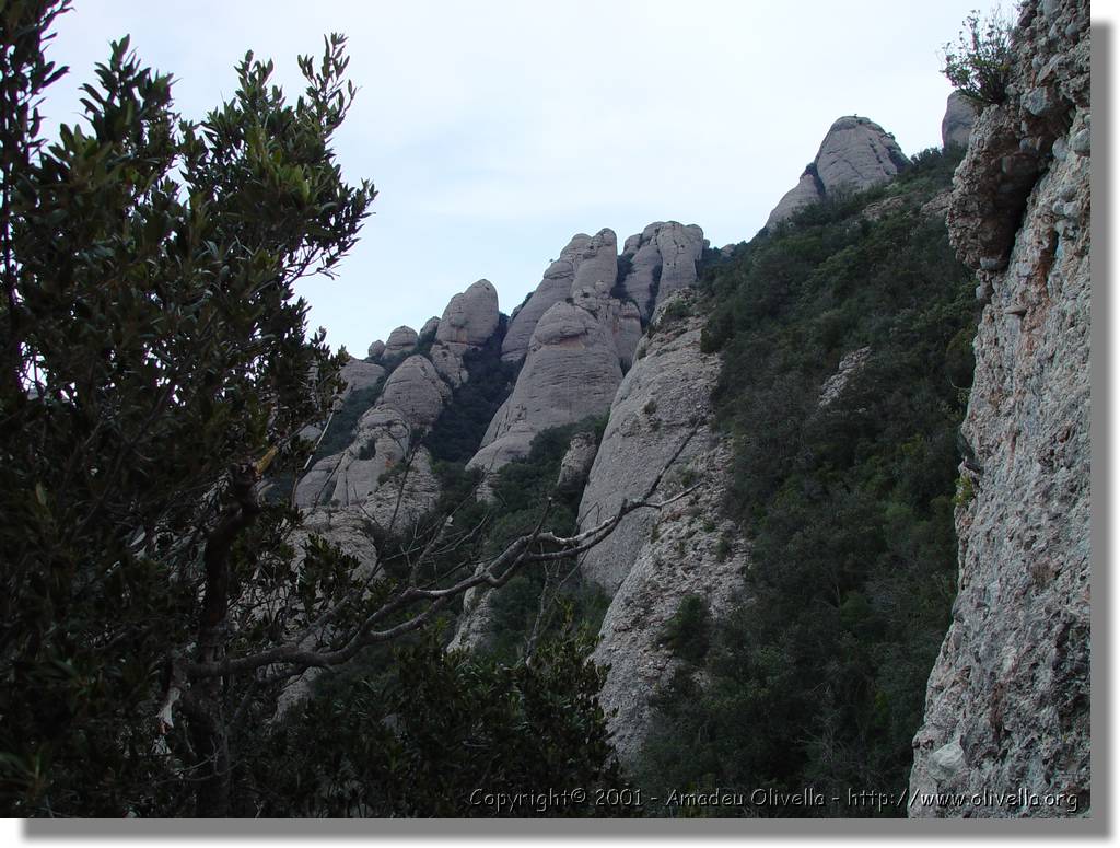 Montserrat_11.jpg