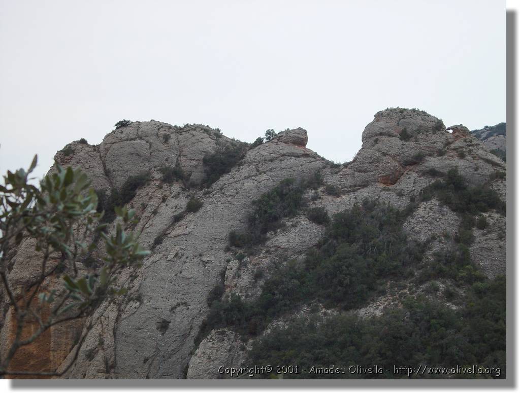 Montserrat_23.jpg