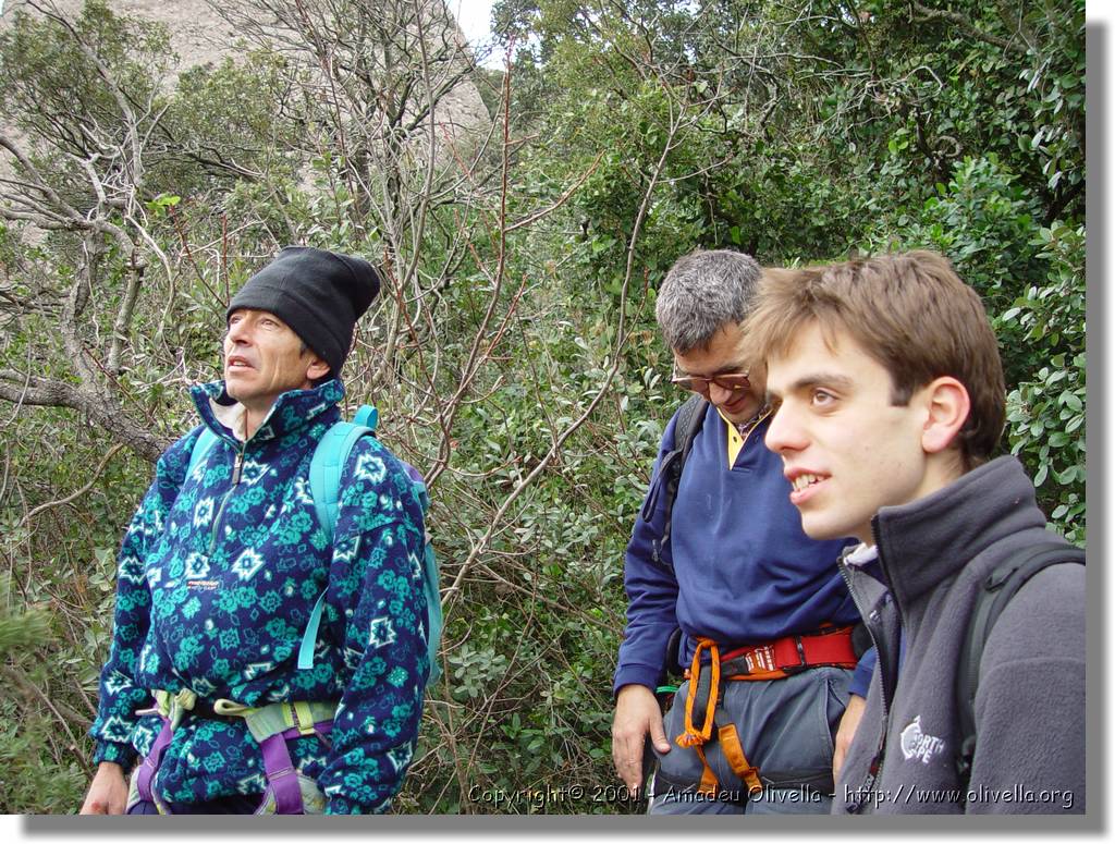 Montserrat_24.jpg