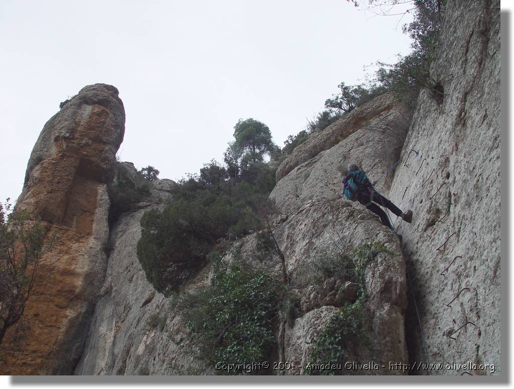 Montserrat_40.jpg