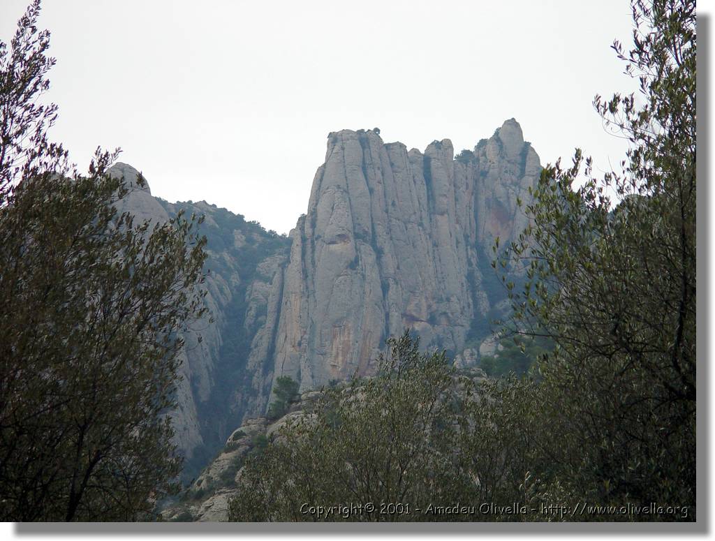 Montserrat_48.jpg