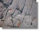 Montserrat_07.jpg(161 KB)