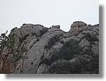 Montserrat_23.jpg(91,5 KB)