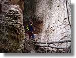 Montserrat_34.jpg(202 KB)