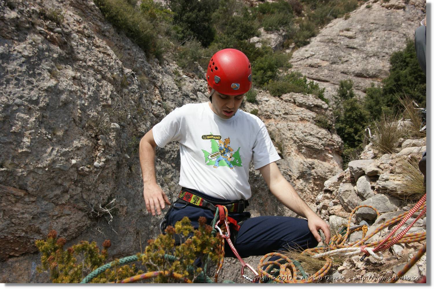 Montserrat_180.jpg