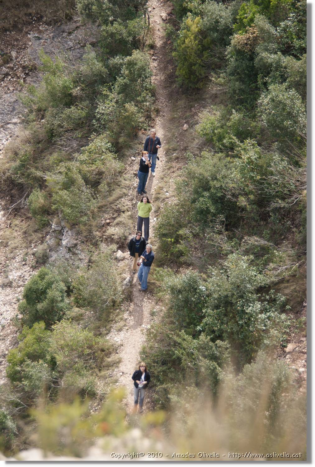 Montserrat_191.jpg