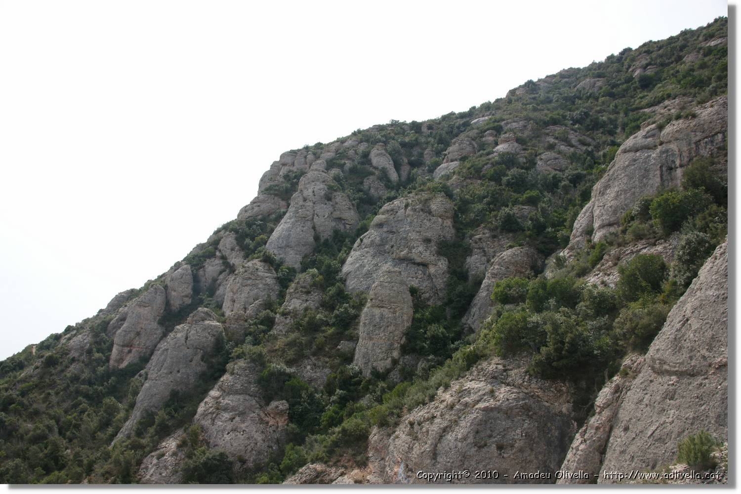 Montserrat_193.jpg