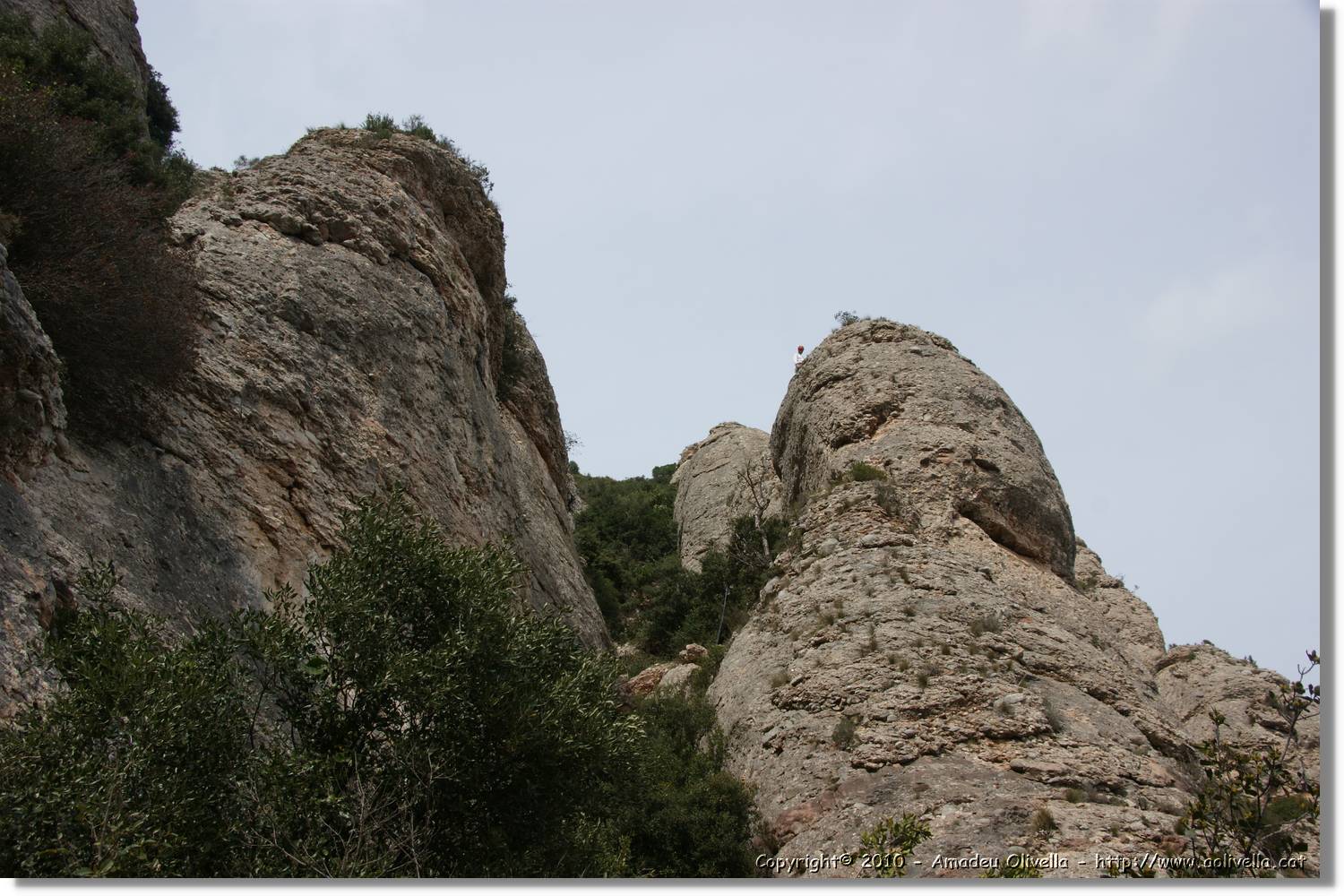 Montserrat_204.jpg