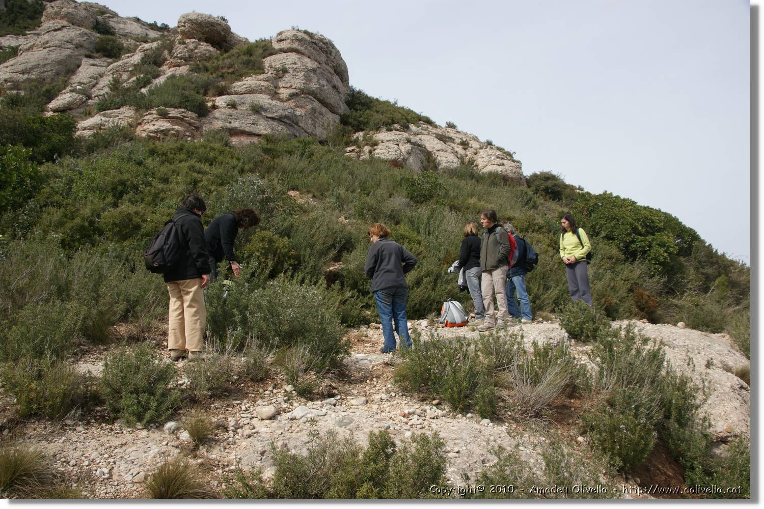 Montserrat_214.jpg
