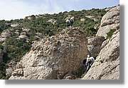 Montserrat_081.jpg