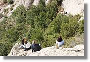 Montserrat_084.jpg