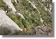 Montserrat_130.jpg