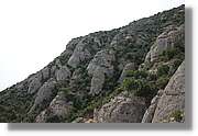Montserrat_193.jpg