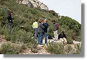 Montserrat_215.jpg