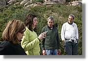 Montserrat_223.jpg