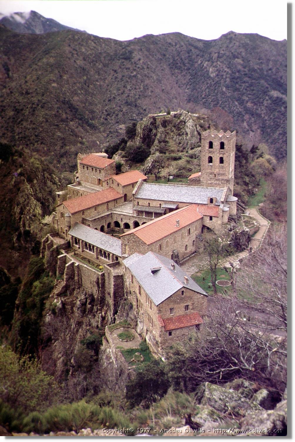Canigo_050.jpg