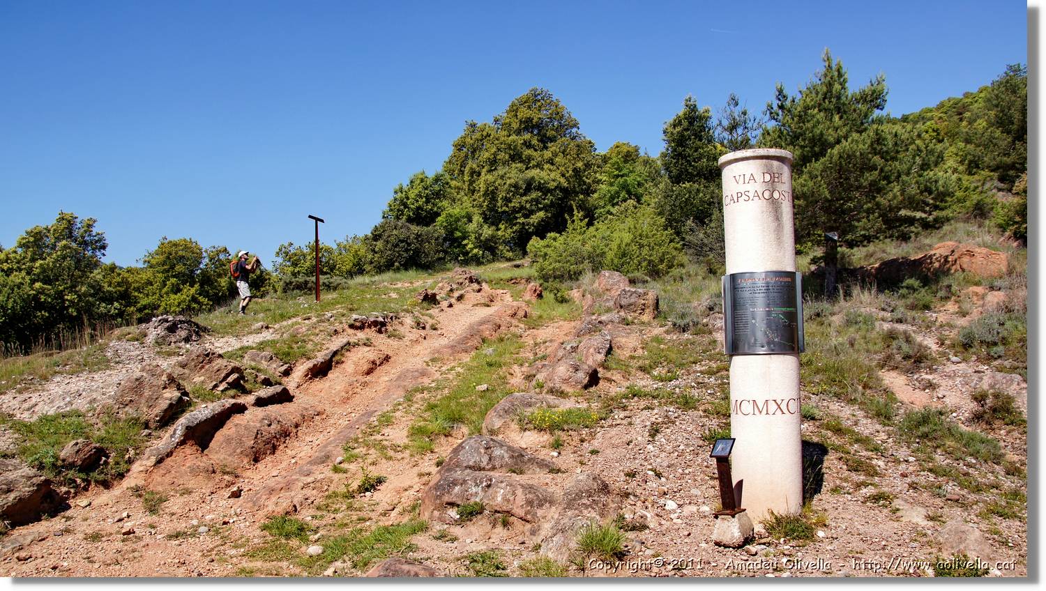 Capsacosta_002.jpg