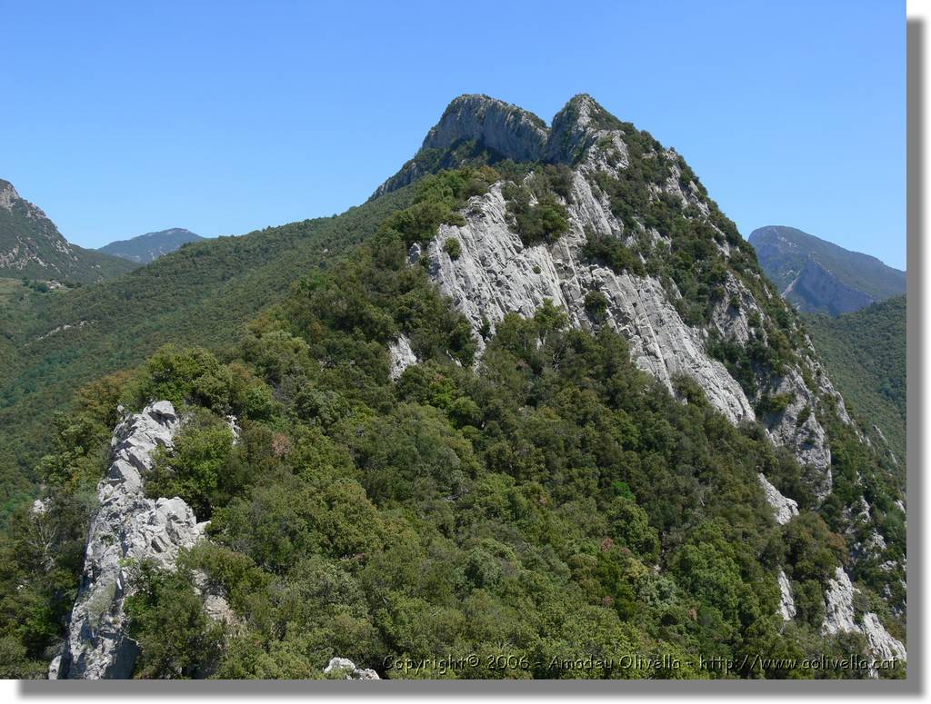 Ferran_115.jpg