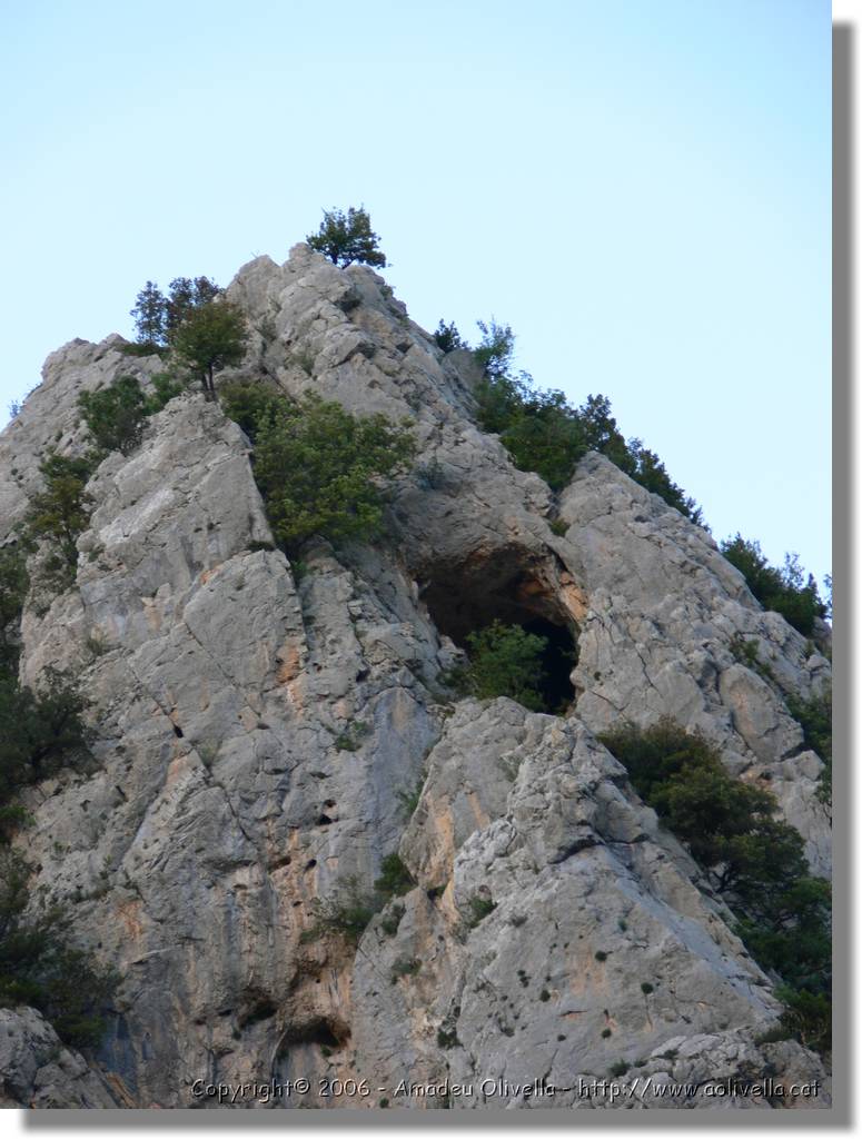 Ferran_218.jpg